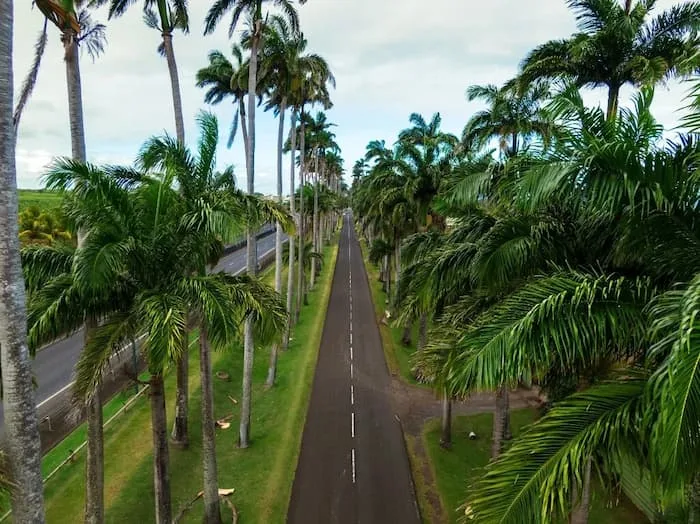 Allée Dumanoir Basse-Terre Guadeloupe