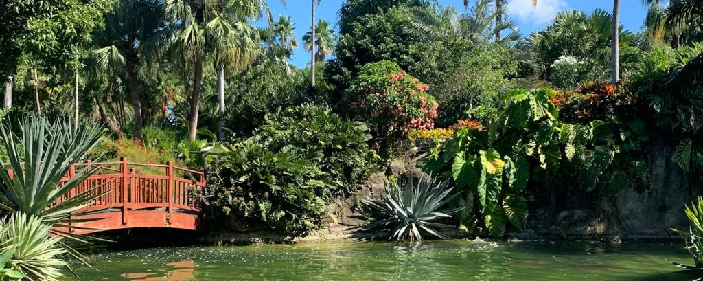 Jardin botanique de Deshaies - Top Guadeloupe