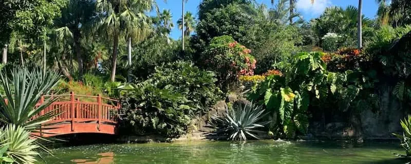 Jardin botanique de Deshaies - Top Guadeloupe