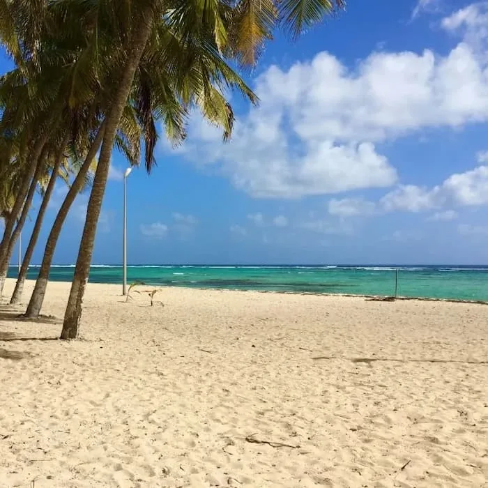 Plage à Fifi - La Désirade - Guadeloupe