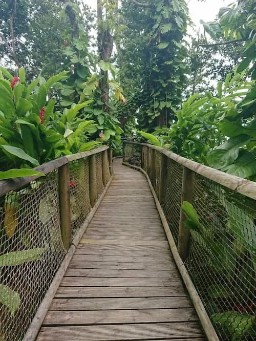Zoo Guadeloupe Pont Suspendu