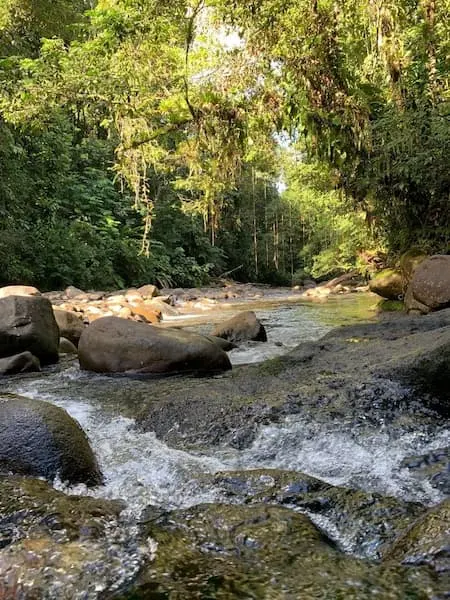 Rivière Corossol - Cascade aux Ecrevisses - Guadeloupe