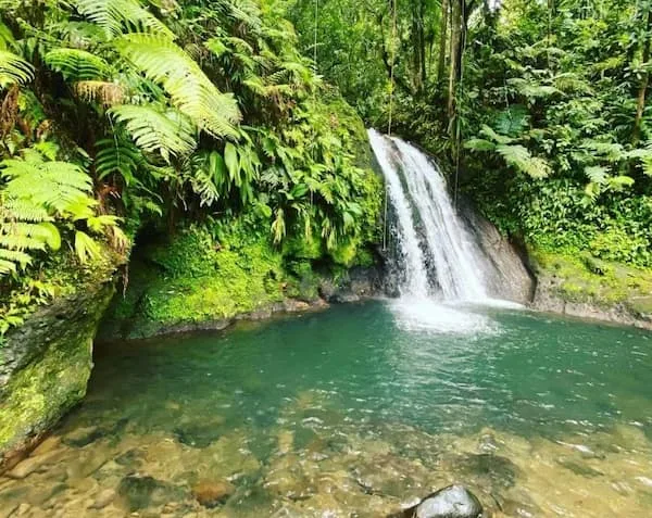 Cascade aux Ecrevisses - Top Activités Guadeloupe