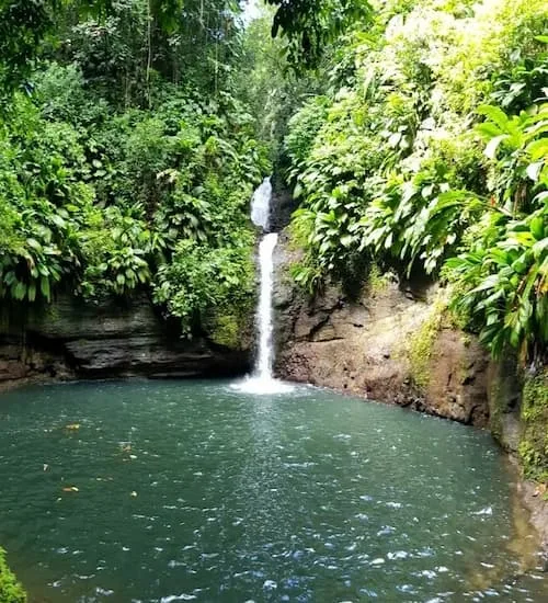 Cascade Tambour - Guadeloupe