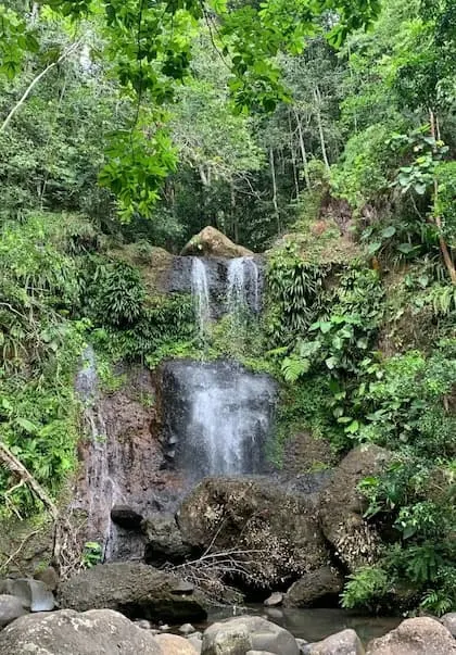 Saut des Trois Cornes - Cascade Guadeloupe