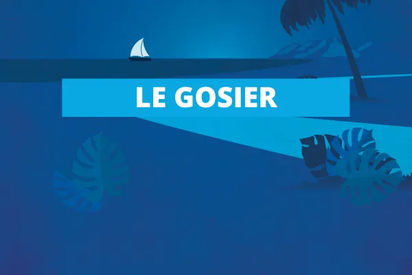 agence gosier guadeloupe