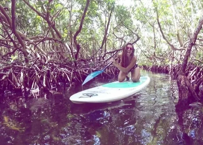 Mangrove de Port Louis en Paddle