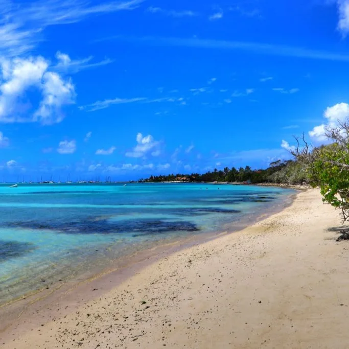 Plage de Bois Jolan à Sainte-Anne - Guadeloupe