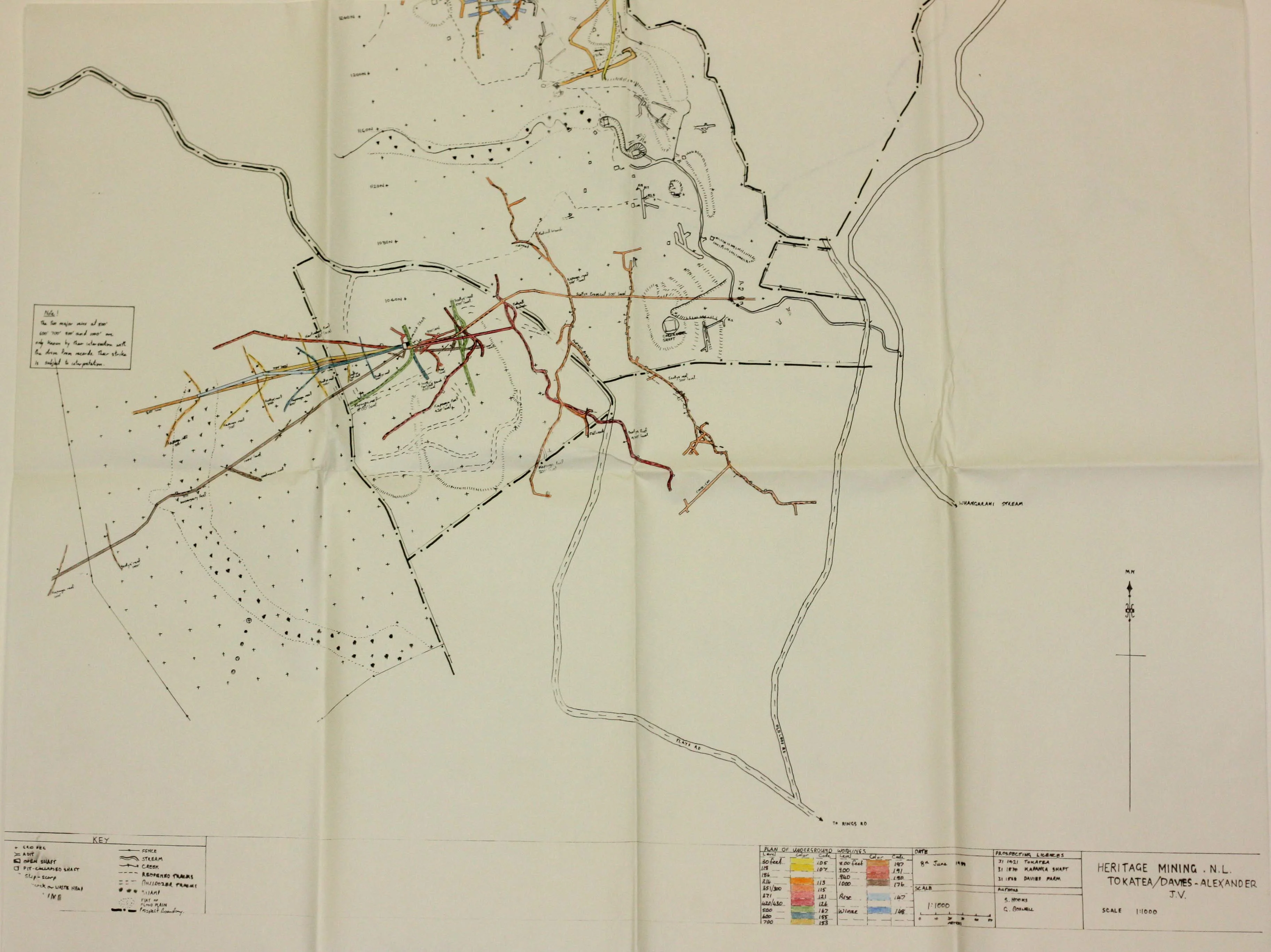 Unfolded plan of Tokotea