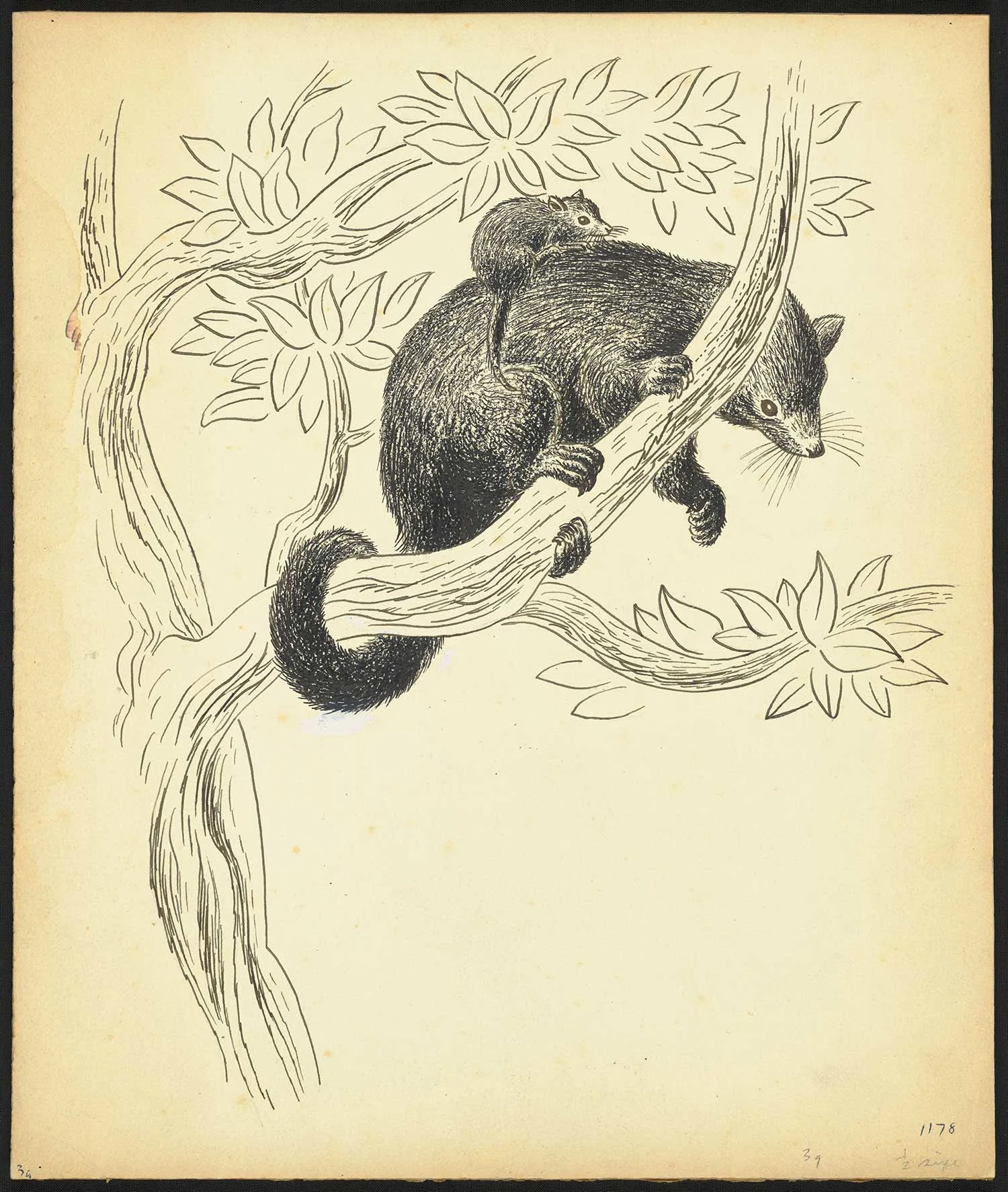  Black print on an old yellowed paper showing a bear climbing a tree and a mouse sitting on his body