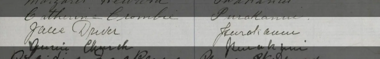 Signature on a Waitangi sheet