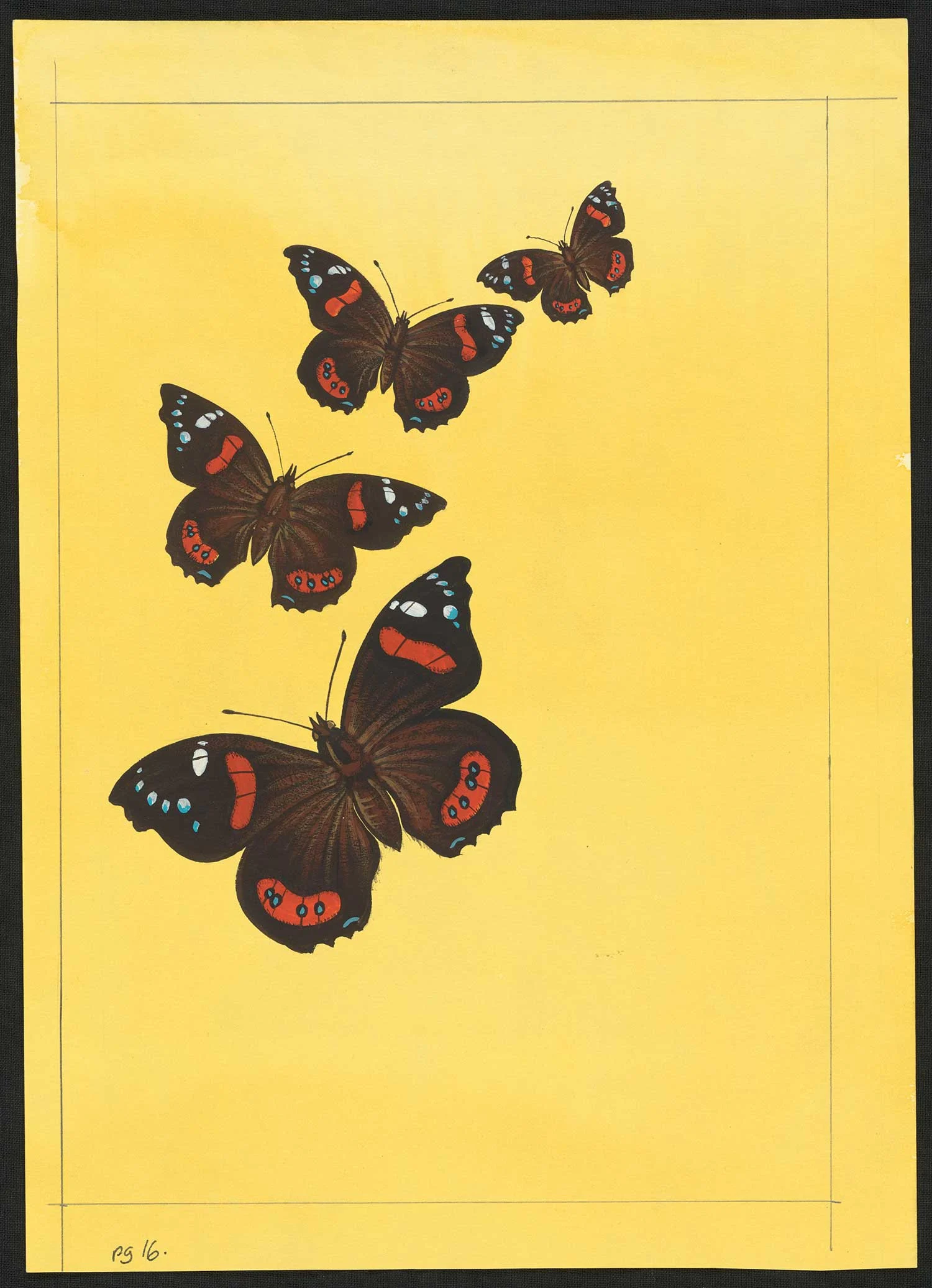 Four black and orange moths flying in a row on a yellow background