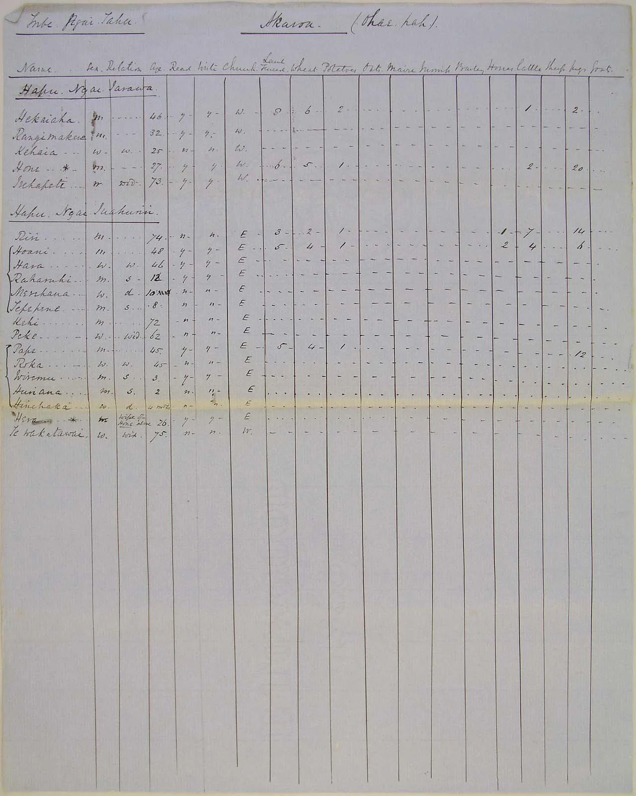 Maori Population at Akaroa - 1857 - Page 2