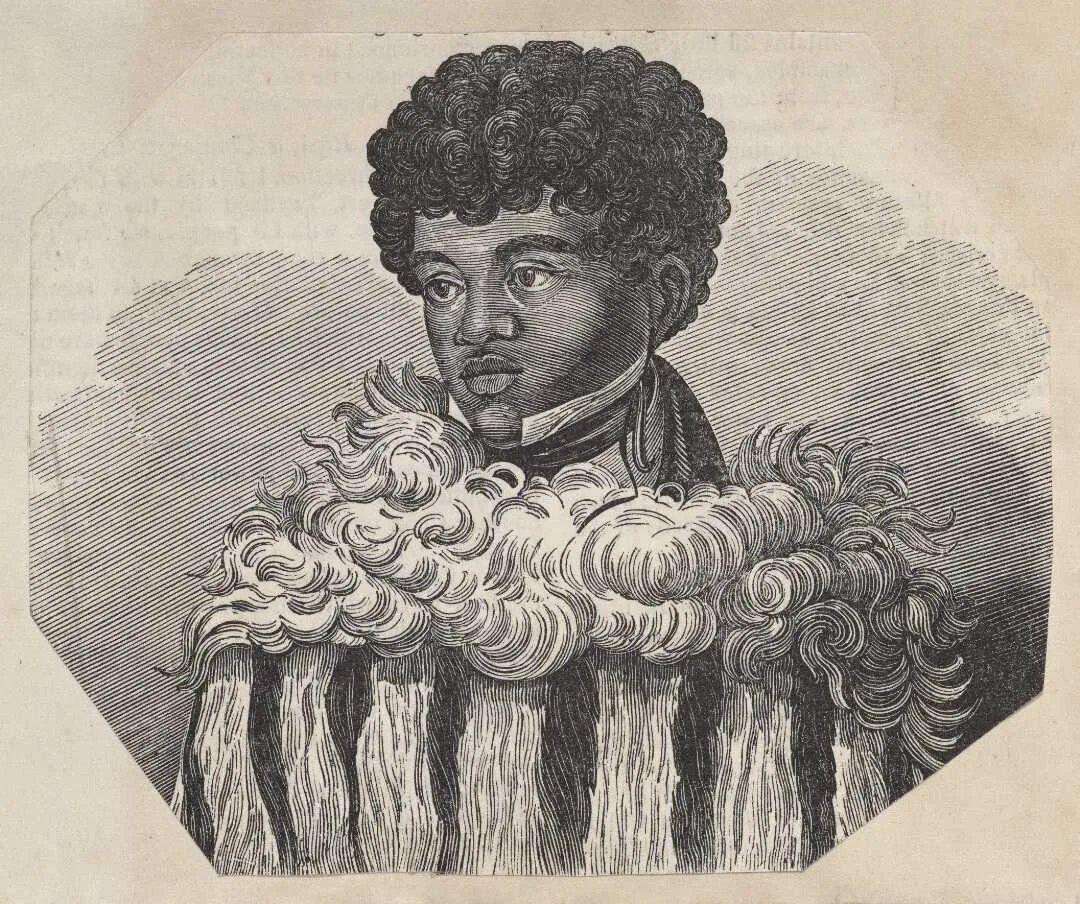 An image of Eruera Pare Hongi