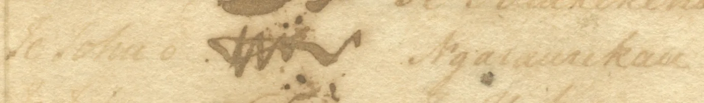 Ngāraurekau signature