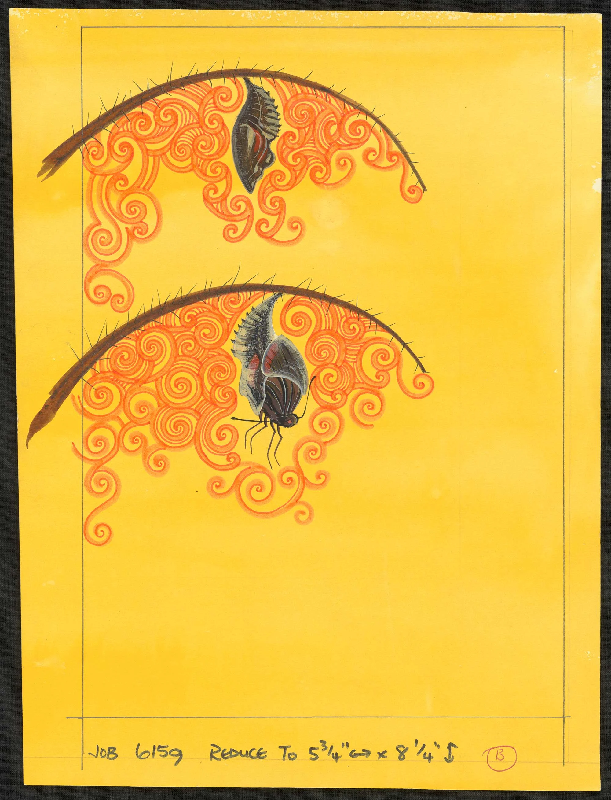 Coloured illustration of two bugs hanging from branches of a plant with orange circular patterns around them, on a yellow background