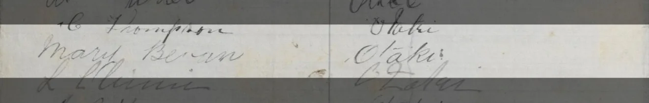 Signature on a Waitangi sheet