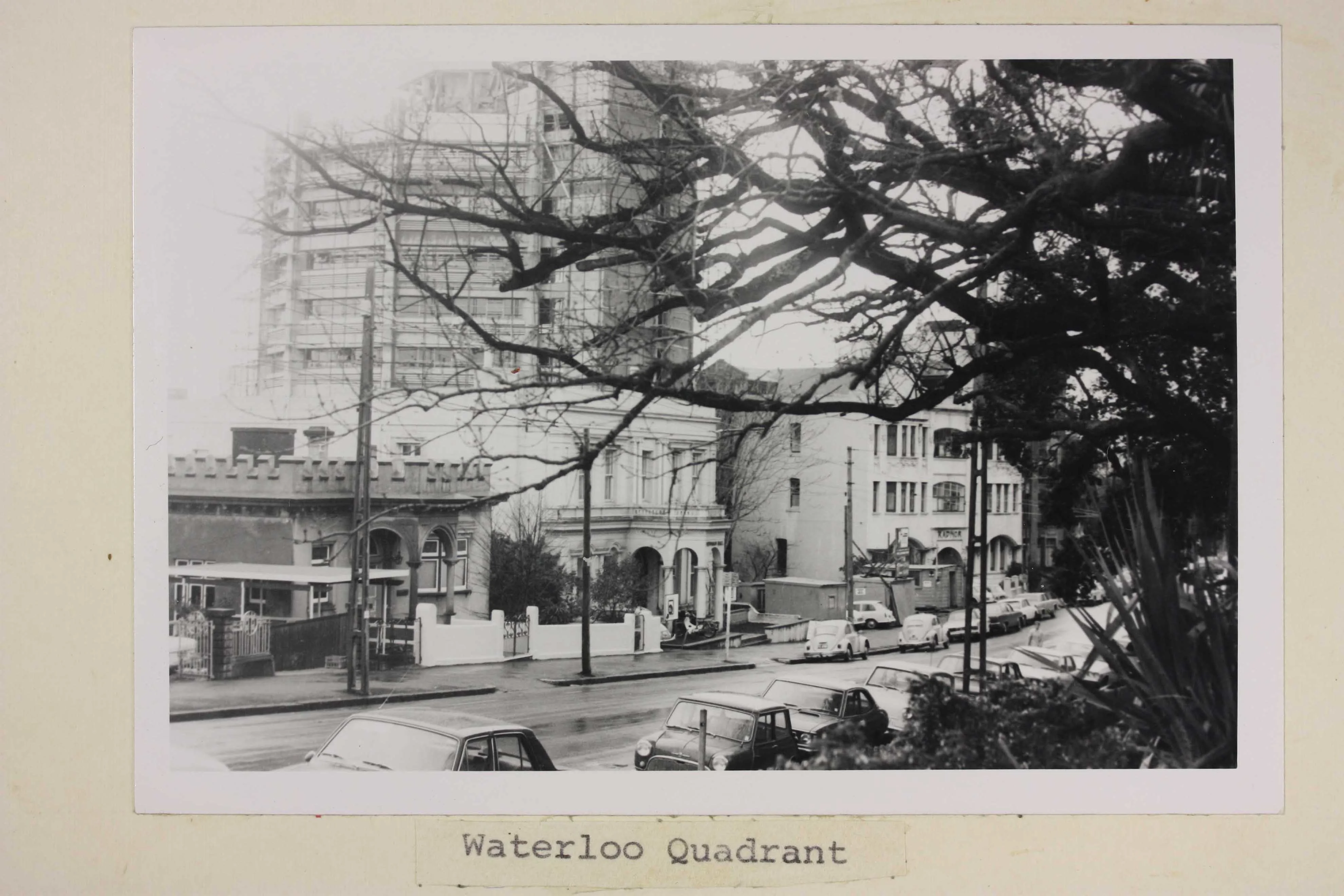 Black and white image of a number of buildings with the silhouette of a tree