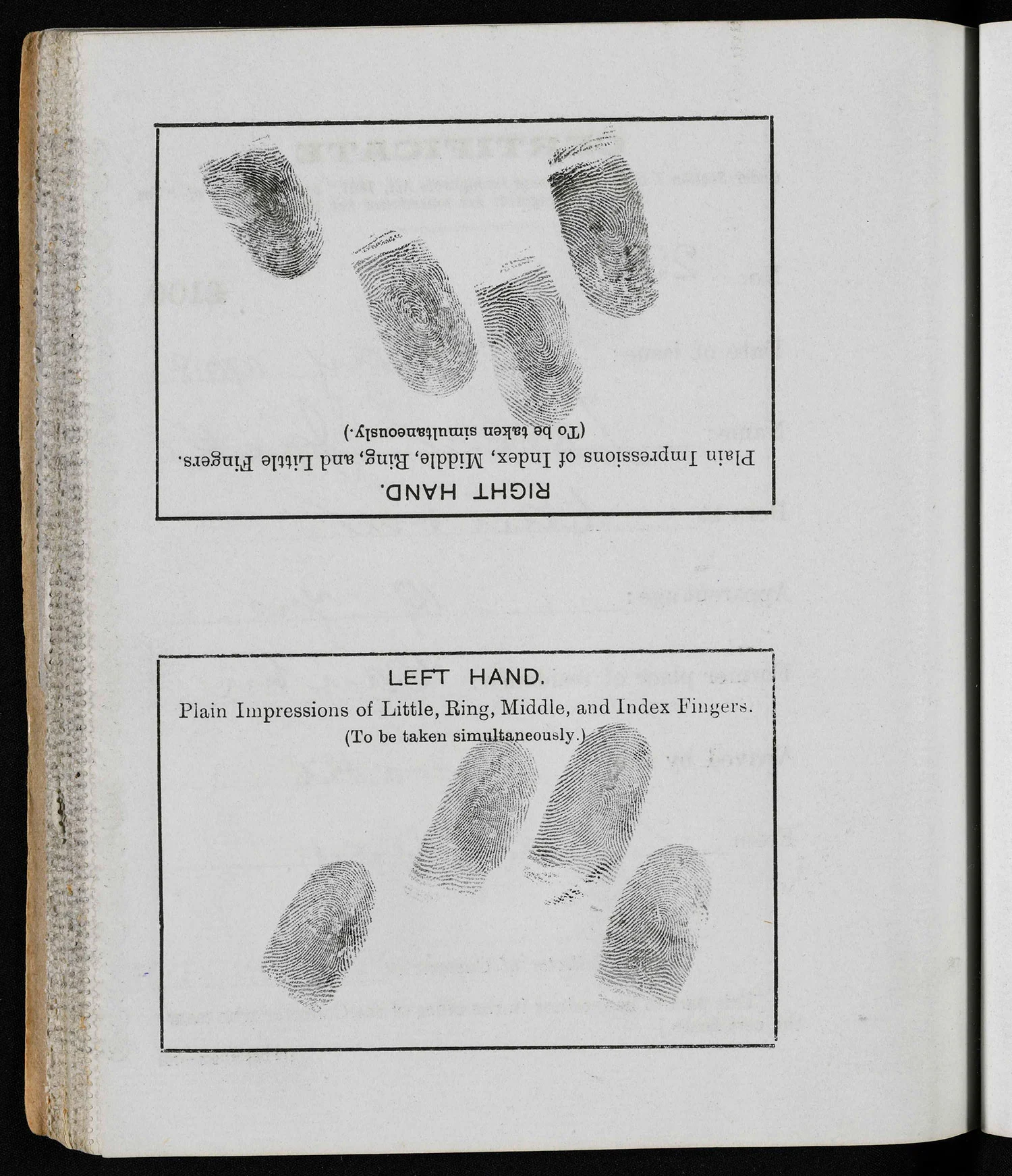 Thumbprints of left and right hand fingers on yellowed grey paper