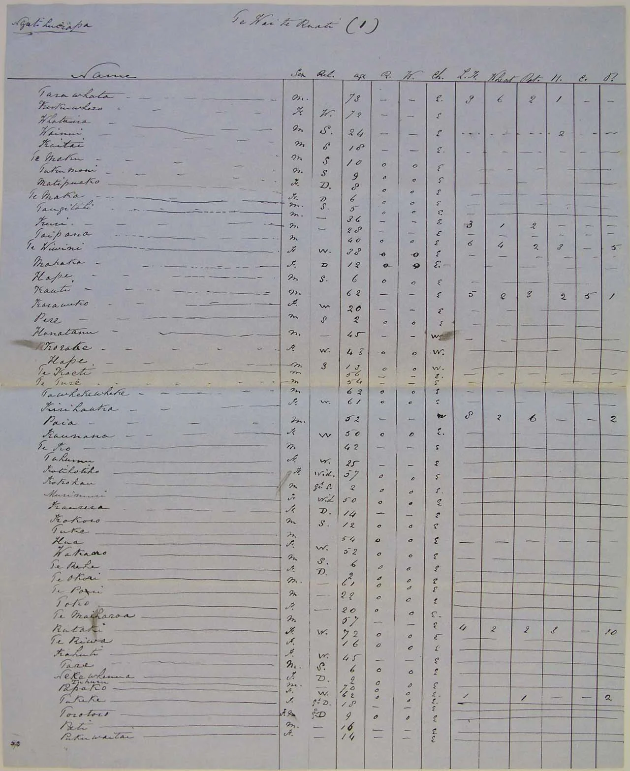 Population at Te Wai Te Ruati - Page 4