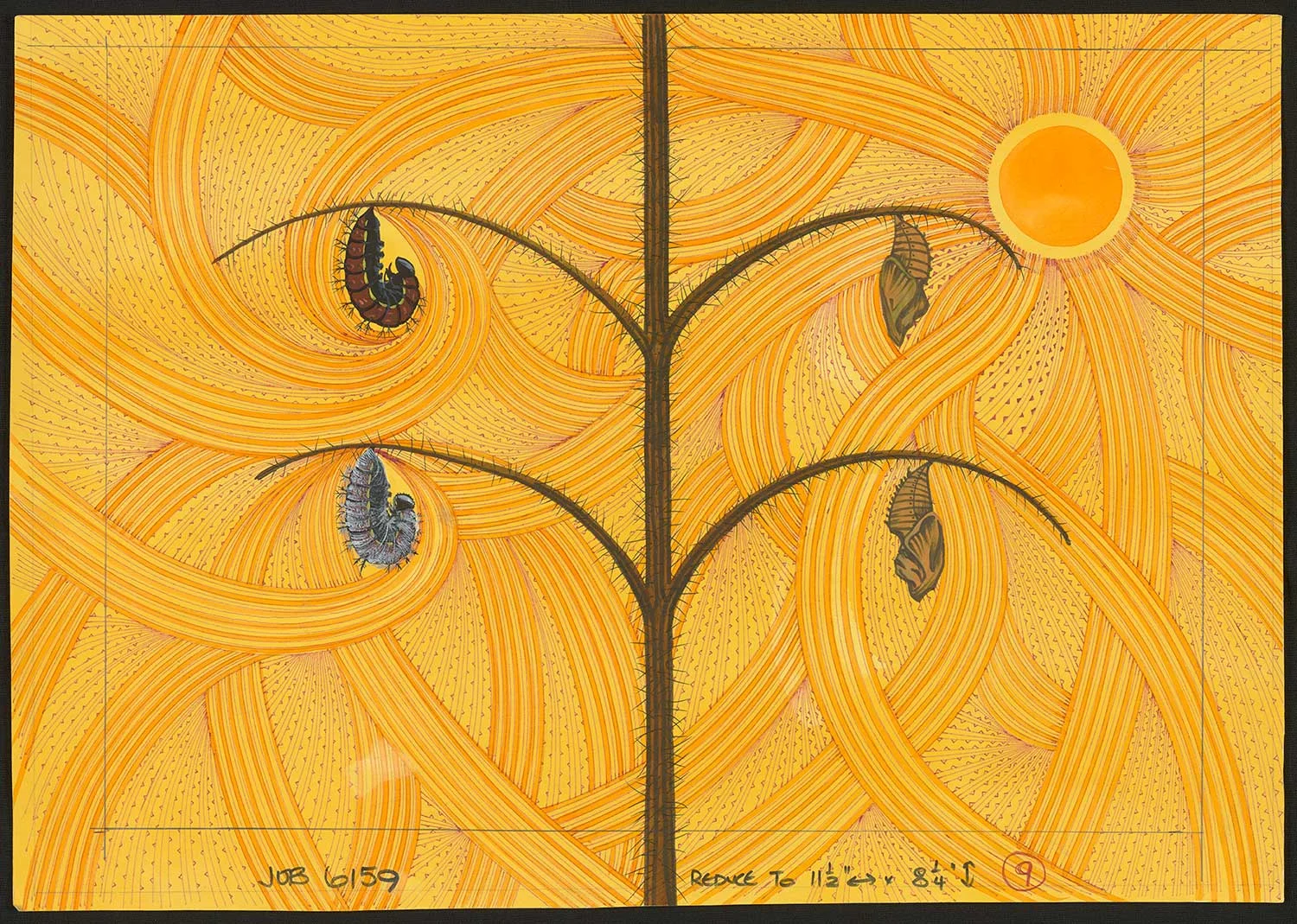 Coloured illustration of four bugs hanging on branches of a plant on a orange background of circular patterns 