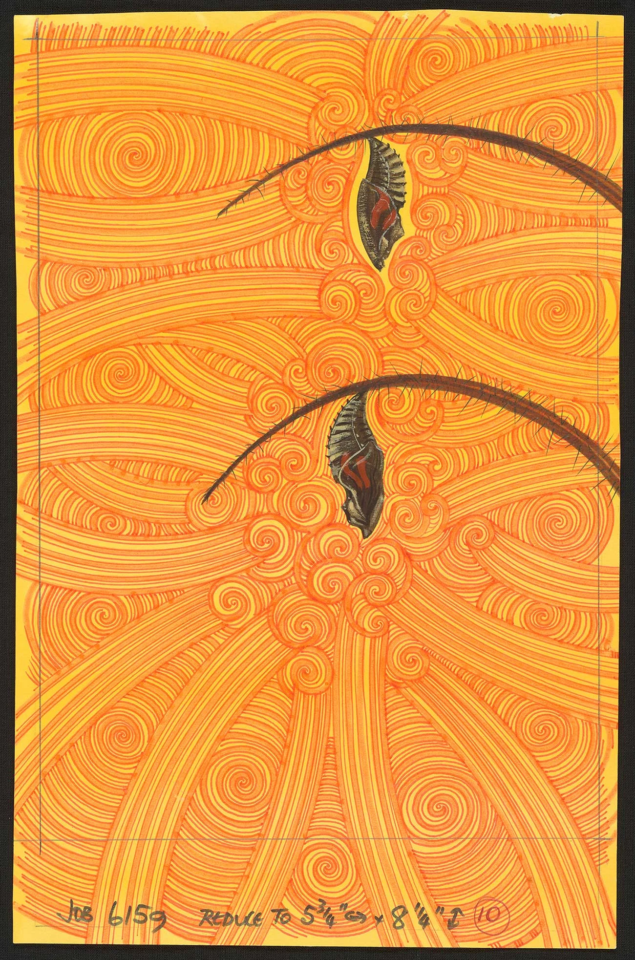 Coloured illustration of two bugs hanging on branches of a plant on a orange background of circular patterns