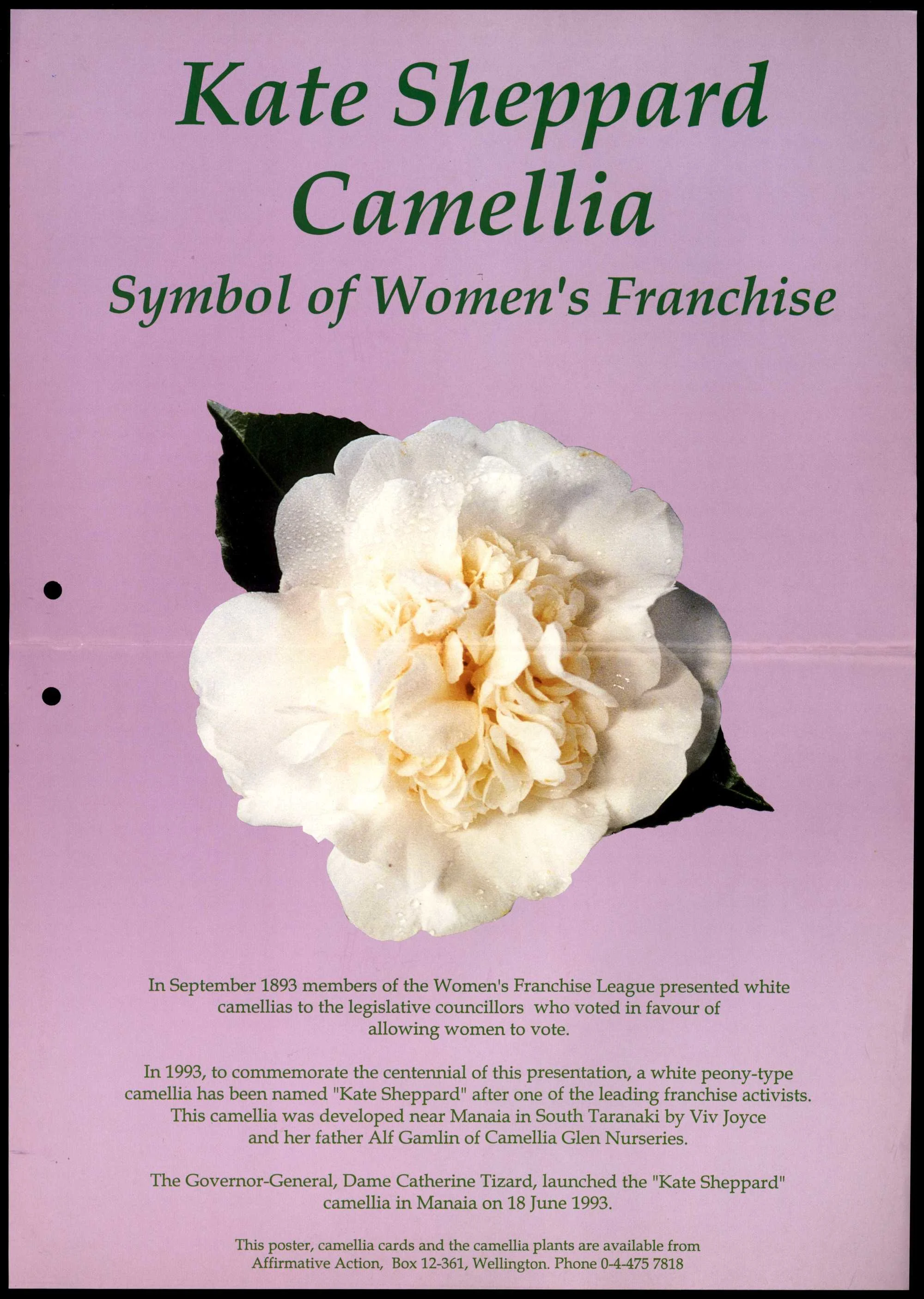 A poster showing a white camellia flower on a lilac background. The text says 'Kate Sheppard Camellia' at the top and 'Symbol of Women's Franchise' below.