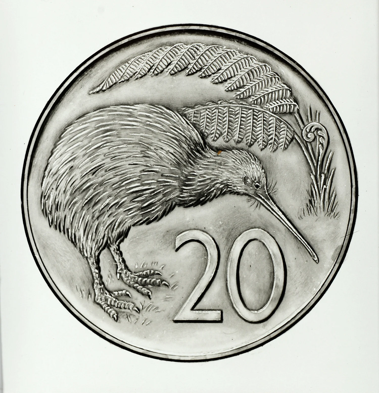 Detailed pencil drawing of a Kiwi bird, fern and number 20 written in a circle