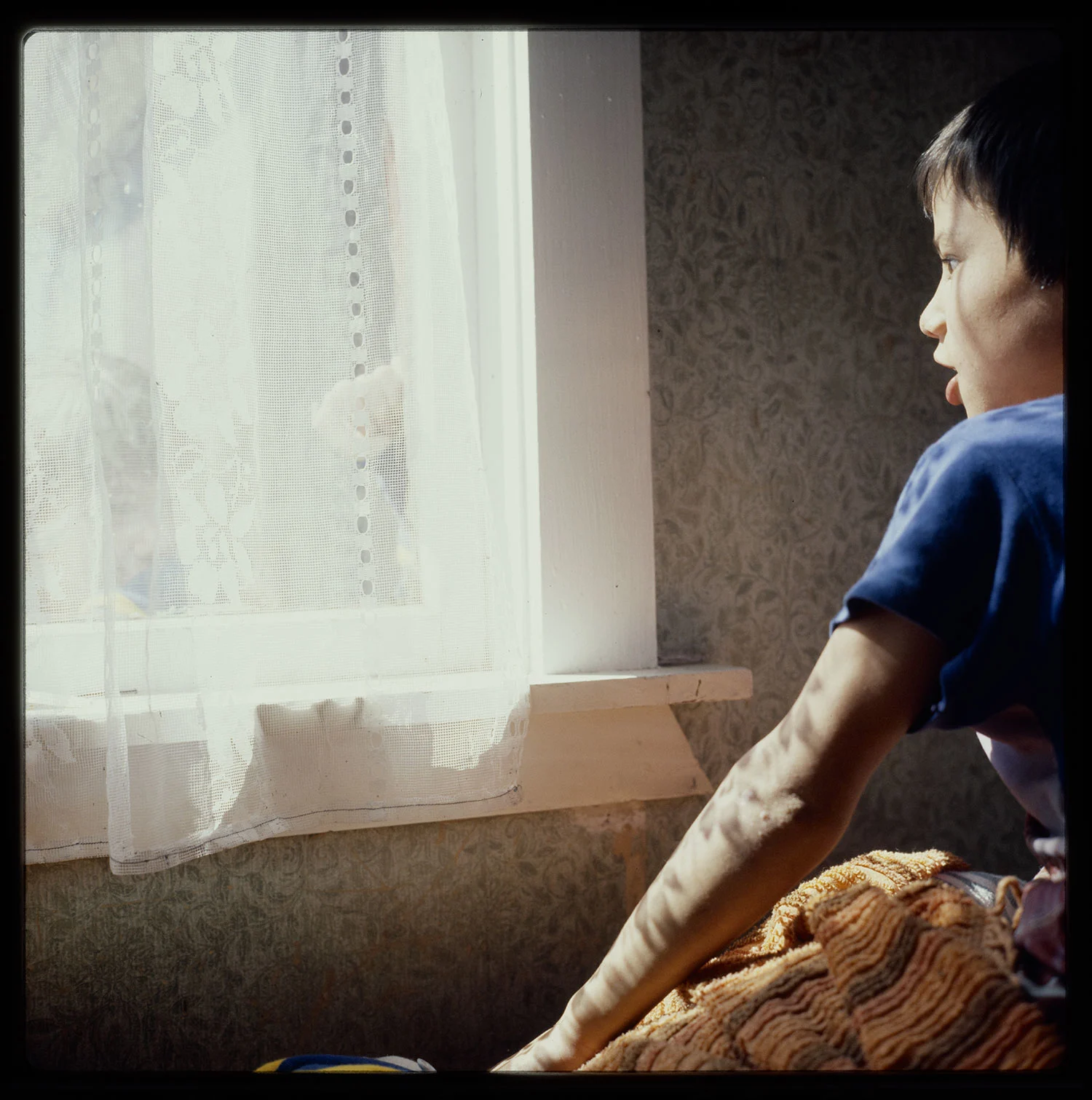 A young boy sitting on the right of a glass window with a white curtain, sun shining through the window
