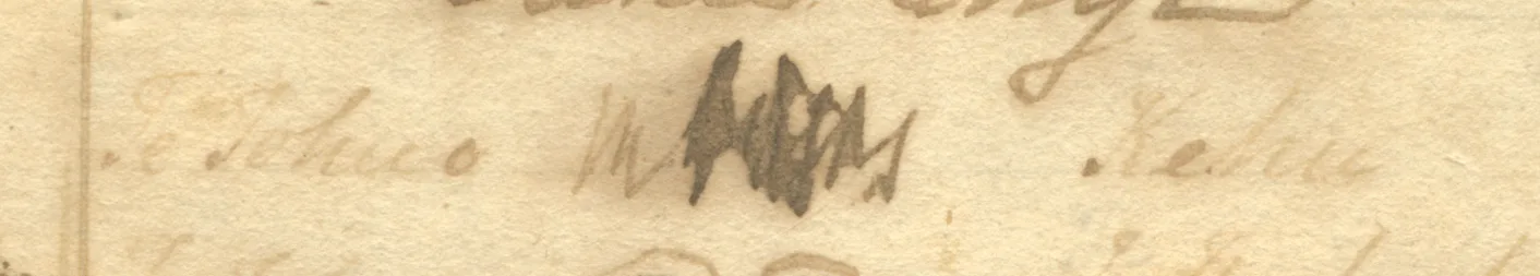 Te Kehu signature