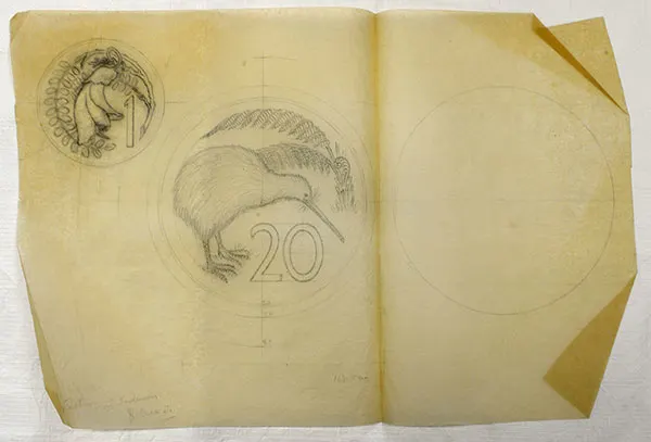 Pencil sketches of kiwi bird and kowhai flower in circles drawn on an old yellowed paper