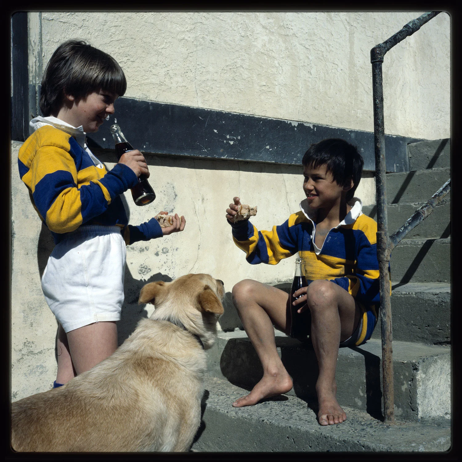 One boy sitting on a staircase, another boy standing and holding a drink bottle and a dog sitting in the front  