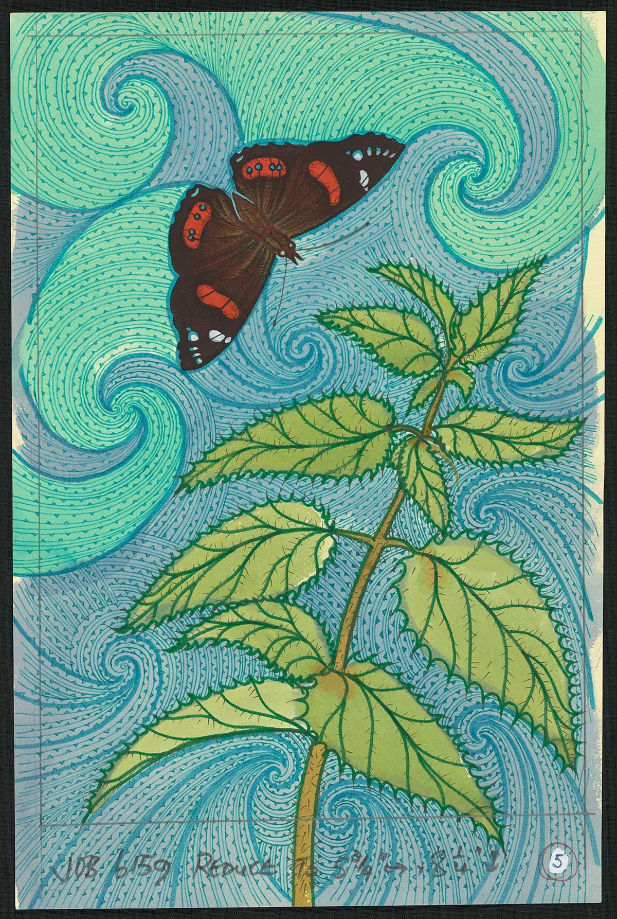 Coloured illustration of a black and orange moth on a background of blue circular patterns with a green plant on the right