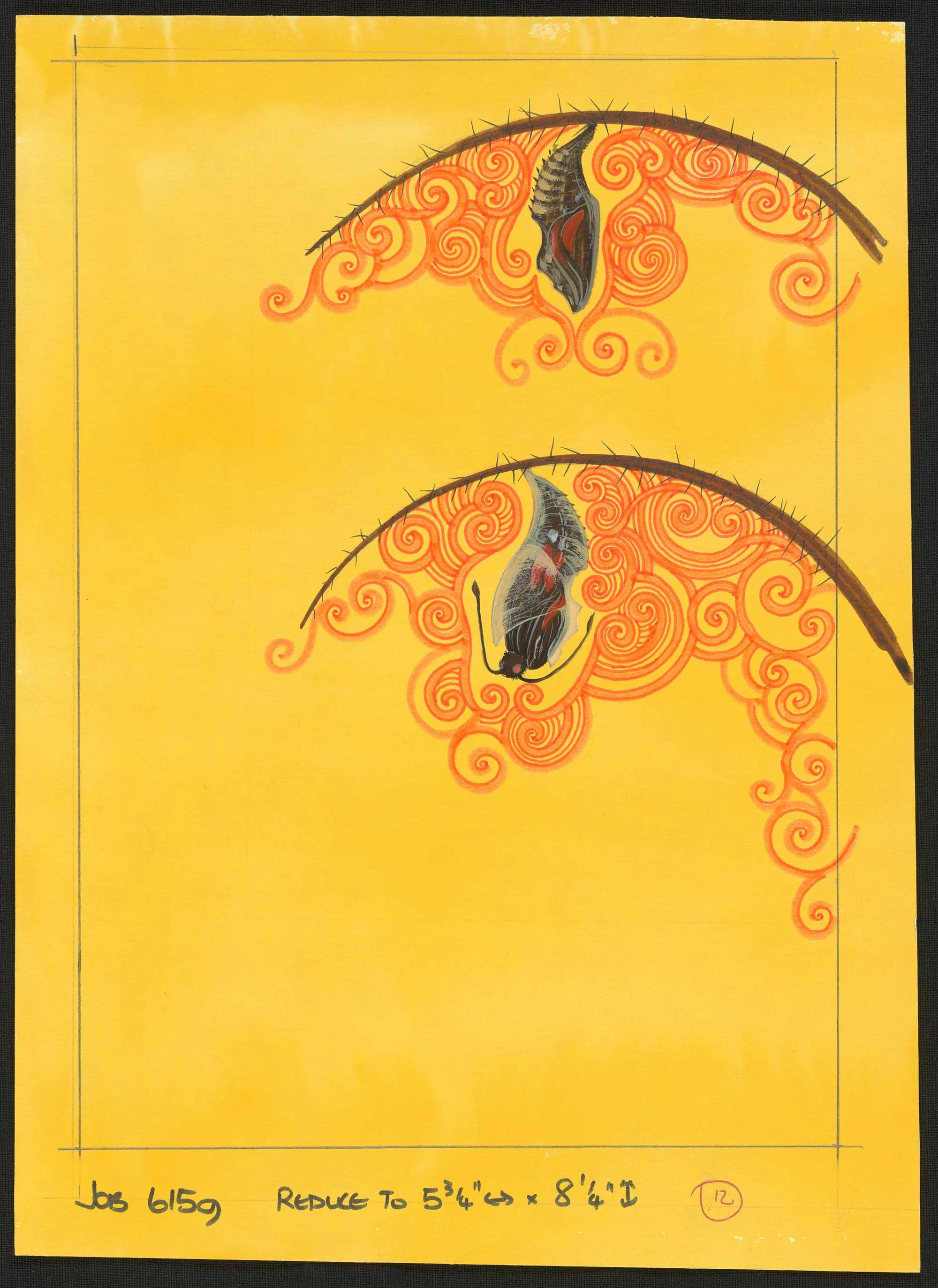 Coloured illustration of two bugs hanging from branches of a plant with orange circular patterns around them, on a yellow background
