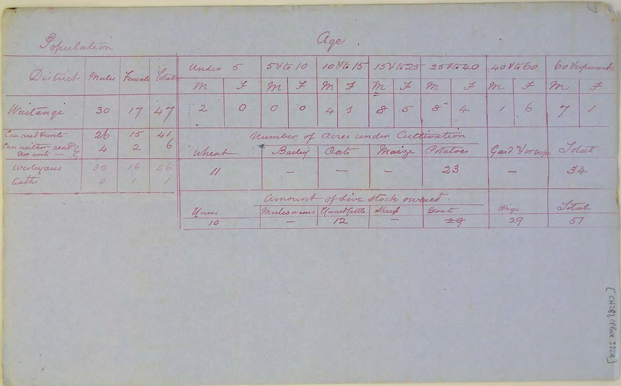 Population at Waitangi - Page 1