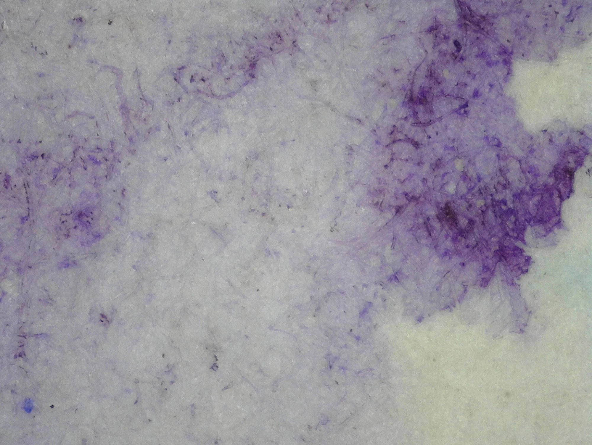 Faded purple ink on an old paper 