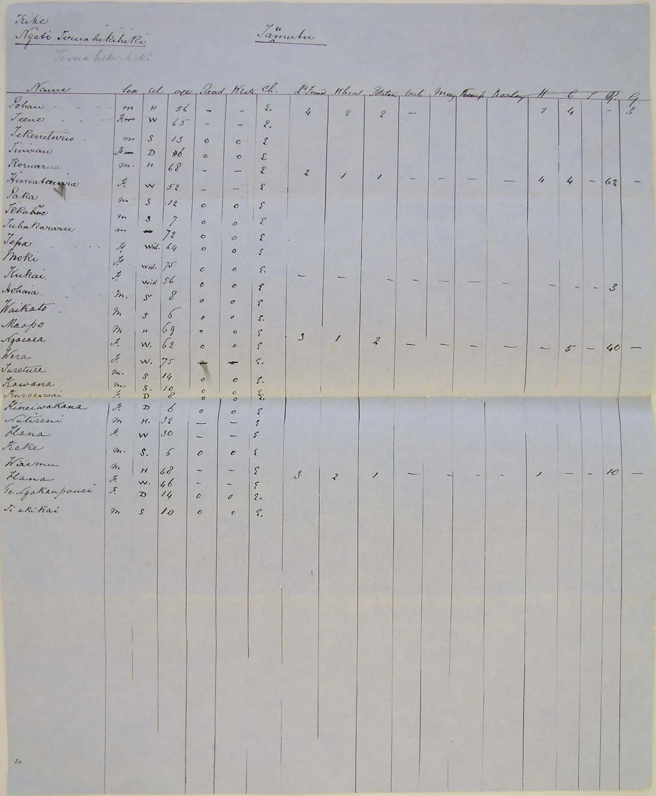 Population at Taumutu - Page 2
