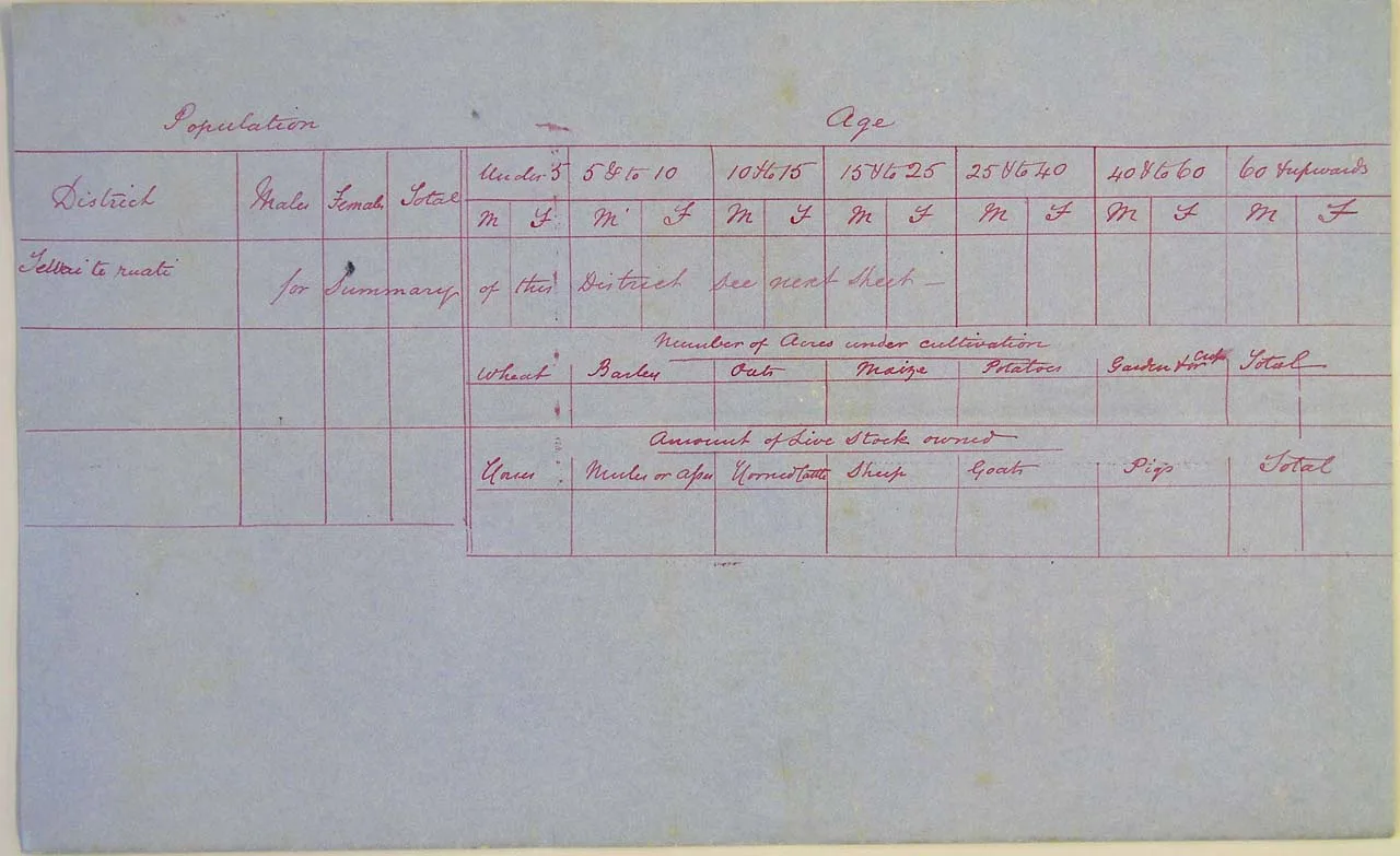 Population at Te Wai Te Ruati - Page 3