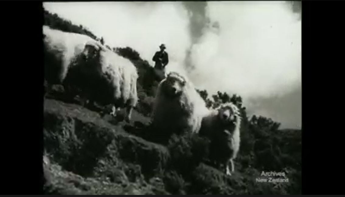 A flock of sheep on steep terrain. A man follows behind them.