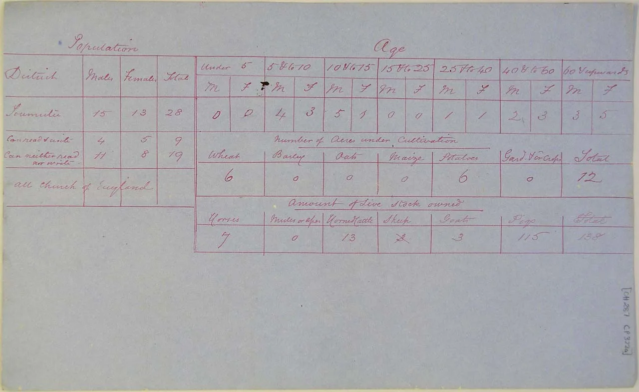 Population at Taumutu - Page 1