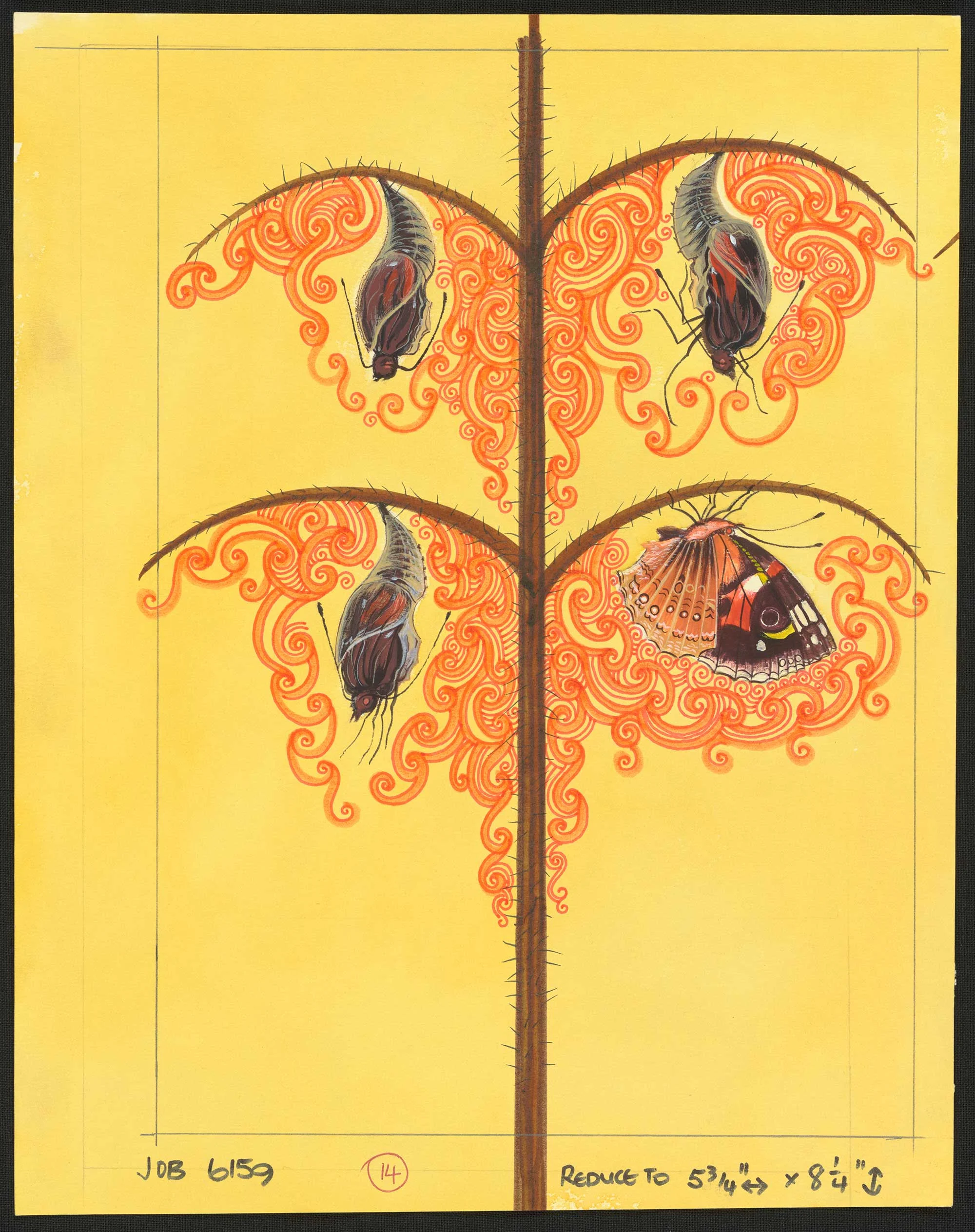 Coloured illustration of four bugs hanging from branches of a plant with orange circular patterns around them, on a yellow background