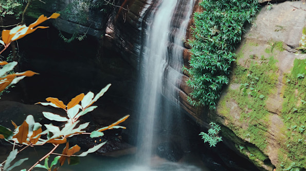 Primary photo of Buderim