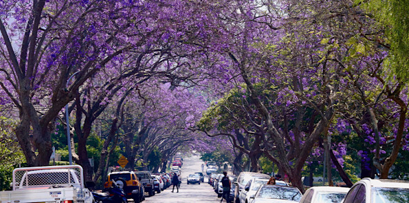 Primary photo of Wahroonga