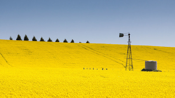 Primary photo of Ballarat