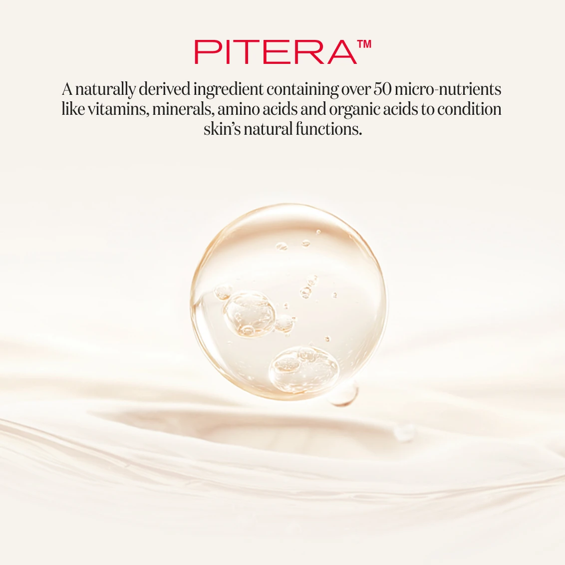 Experience Power of Pitera™