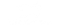 se - partnership - logo - stockpicker