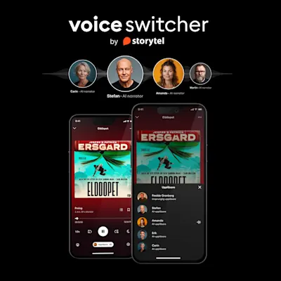 SE - voice switcher 1x1