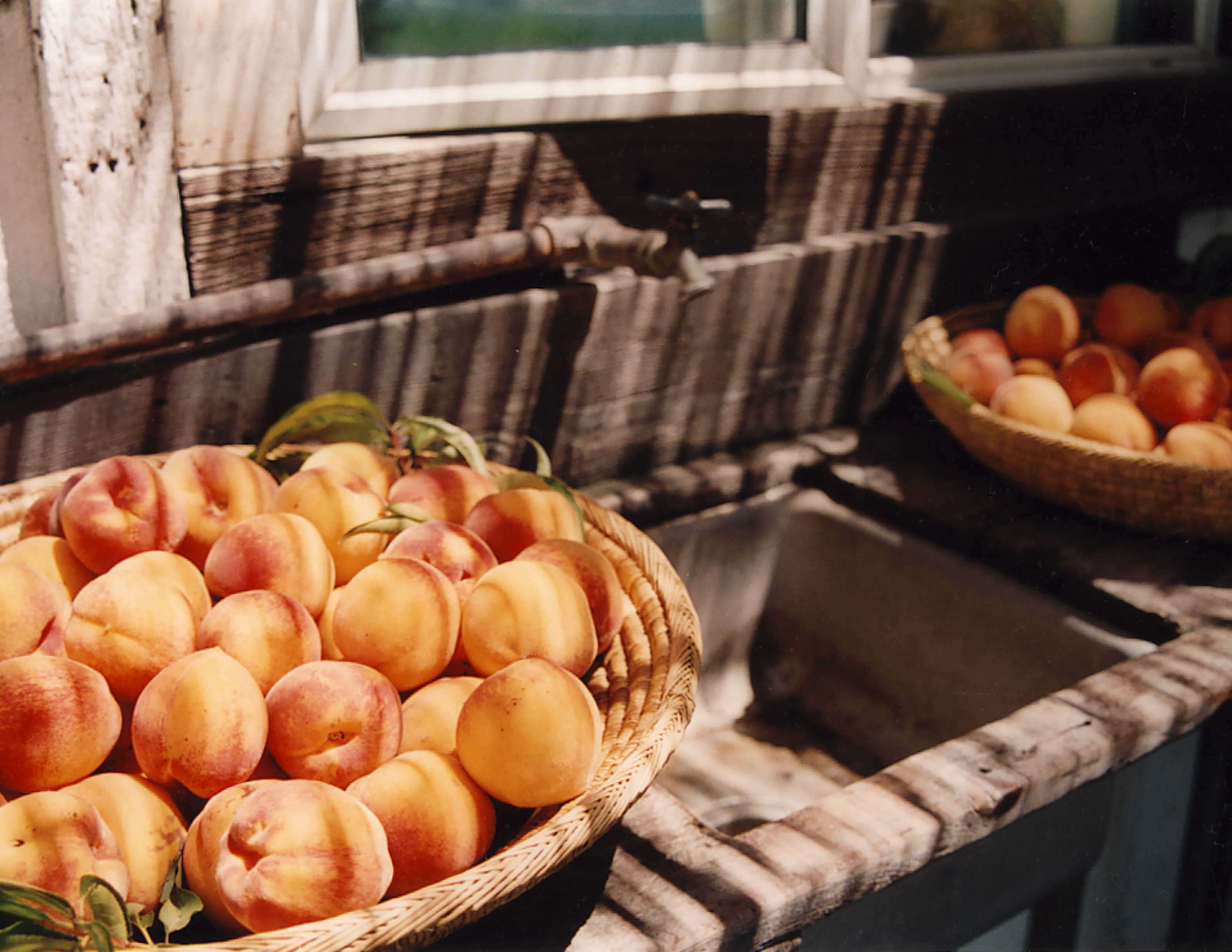 Close-up photo of two woven baskets overflowing with fresh peaches, some still with green leaves attached, resting on a weathered wooden counter beside an old outdoor sink with a spigot, in front of a rustic wooden building with a window.