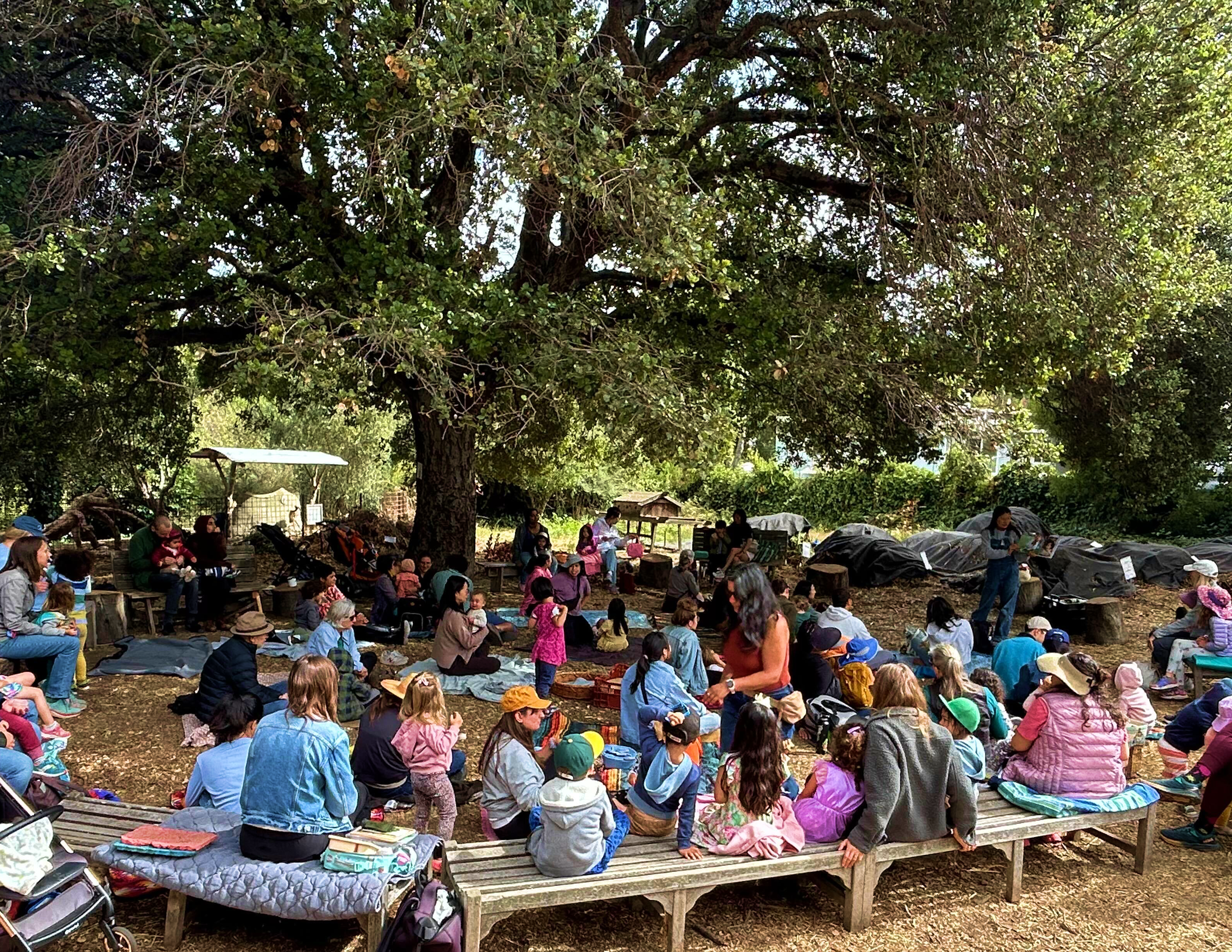 Photo of a large gathering of adults and children sitting on benches, blankets, and the ground beneath a big shady oak tree in an outdoor garden setting. People wear casual layered clothing and sun hats, with garden beds, a small shed, and covered plant rows visible in the background.