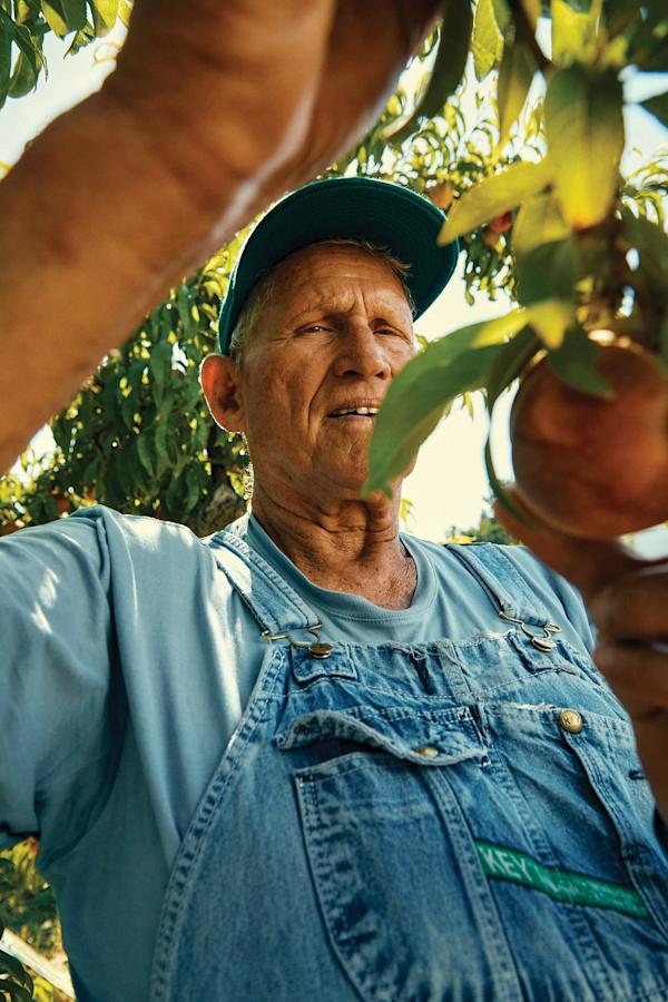 4-Photo FrogHollow Optimized